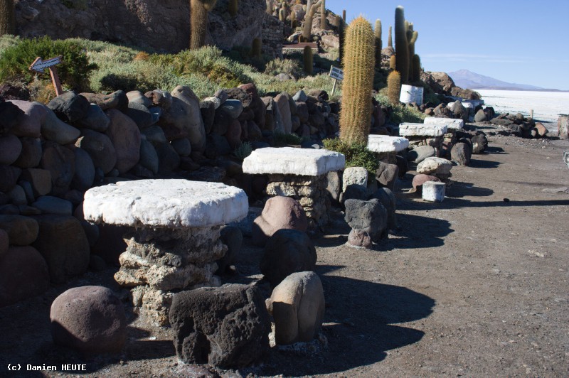 Tables de sel à l'Isla Incahuasi