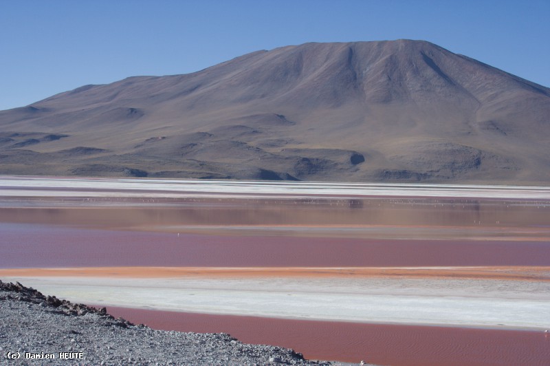 Laguna Colorada