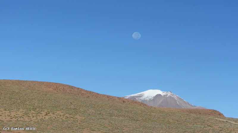 Mont enneigé