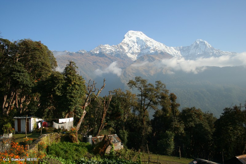 Annapurna Sud